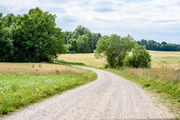 Stone Driveway Repair in Marysville