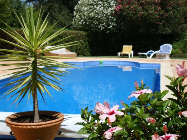 Pool Terrace Renovation in Marysville