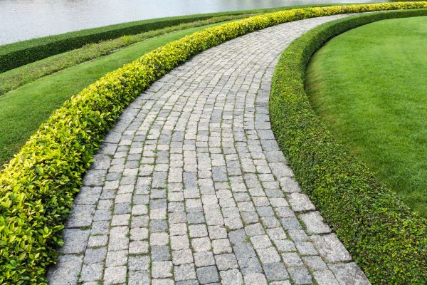 Sidewalk Pavers Installation in Marysville